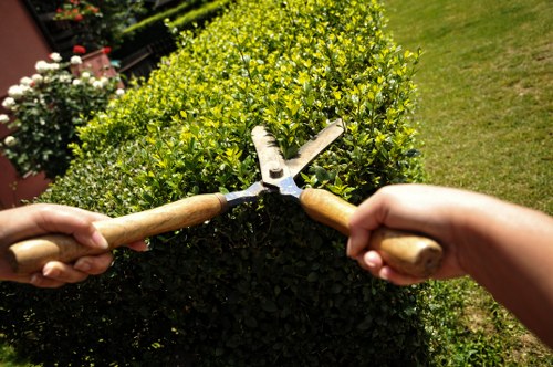 Professional landscape gardener planning a garden design