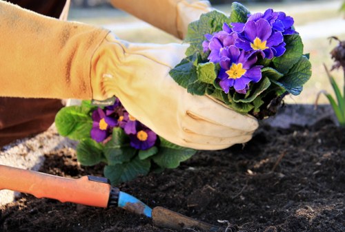 Professional driveway cleaning service in Gipsy Hill